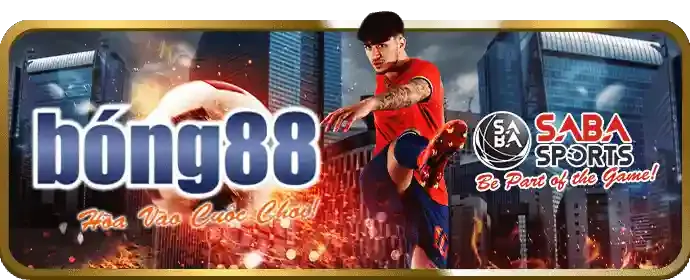 Quy trình tham gia và nâng cấp VIP tại i9bet128